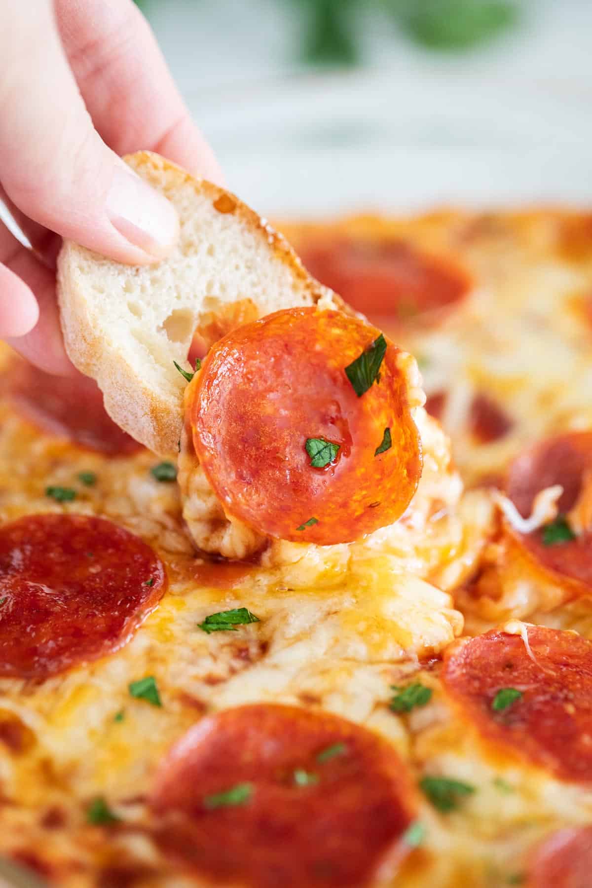 Pizza dip close up.