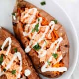 buffalo chicken sweet potato on white plate