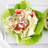 buffalo chicken lettuce wraps on plate