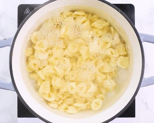 tortellini pasta cooking in pot