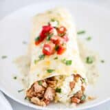 chicken burrito on white plate