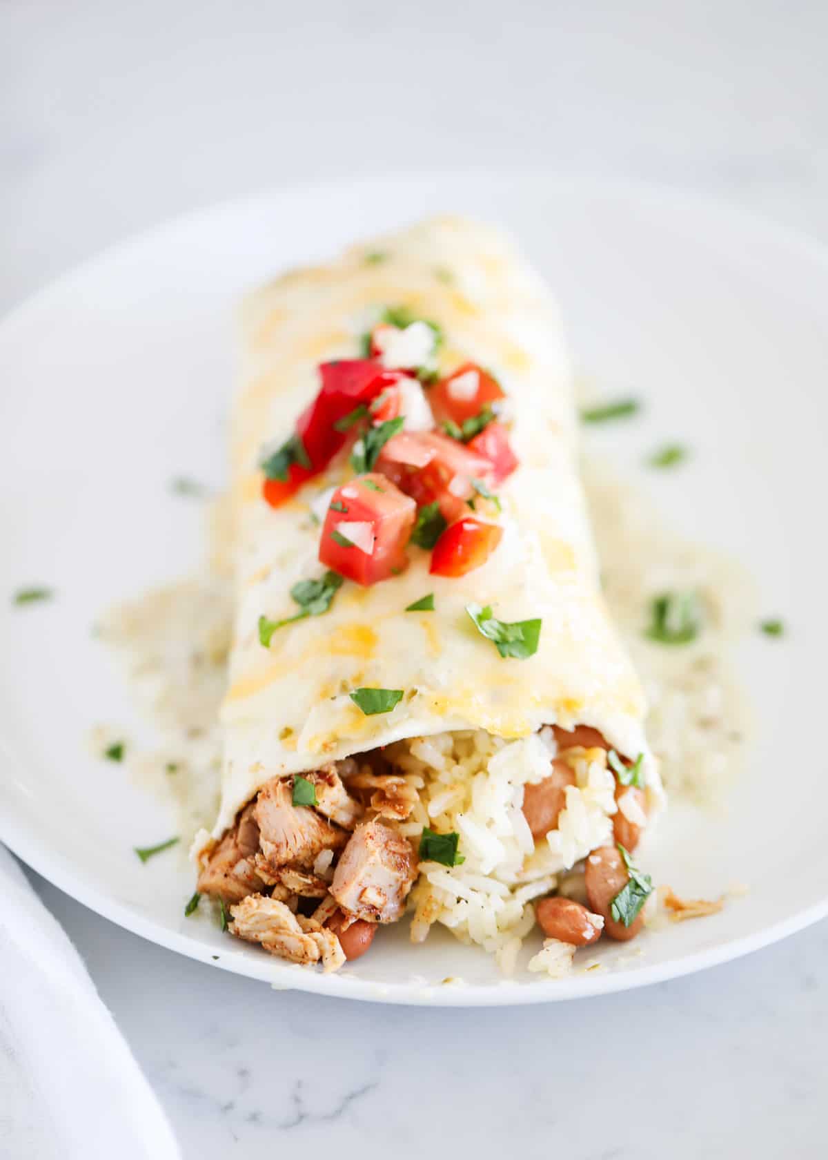 Chicken burrito on white plate.