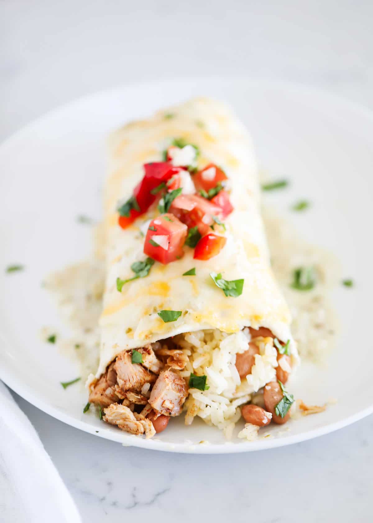 chicken burrito on white plate