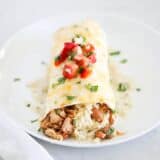 chicken burrito on white plate