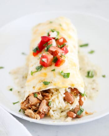 chicken burrito on white plate