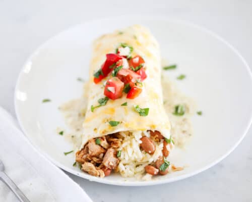 chicken burrito on white plate