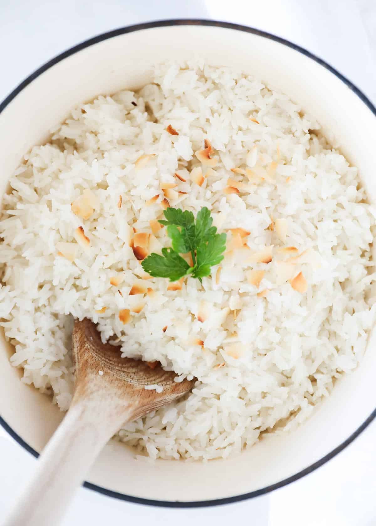 Cooked coconut rice in white pot with coconut.