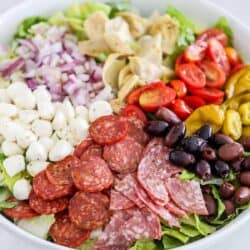 antipasto salad in bowl