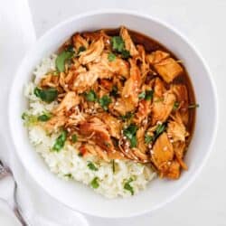teriyaki chicken and rice in bowl