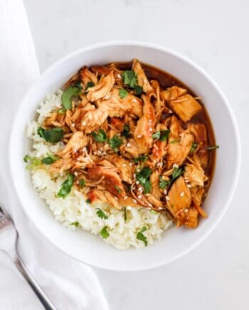 teriyaki chicken and rice in bowl