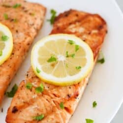 grilled salmon on white plate