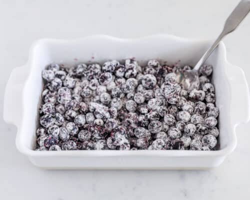 blueberries in white baking dish