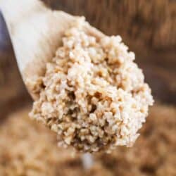 spoonful of steel cut oats