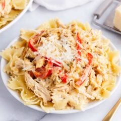 Creamy chicken pasta made with shredded chicken, peppers and onion on a white plate.