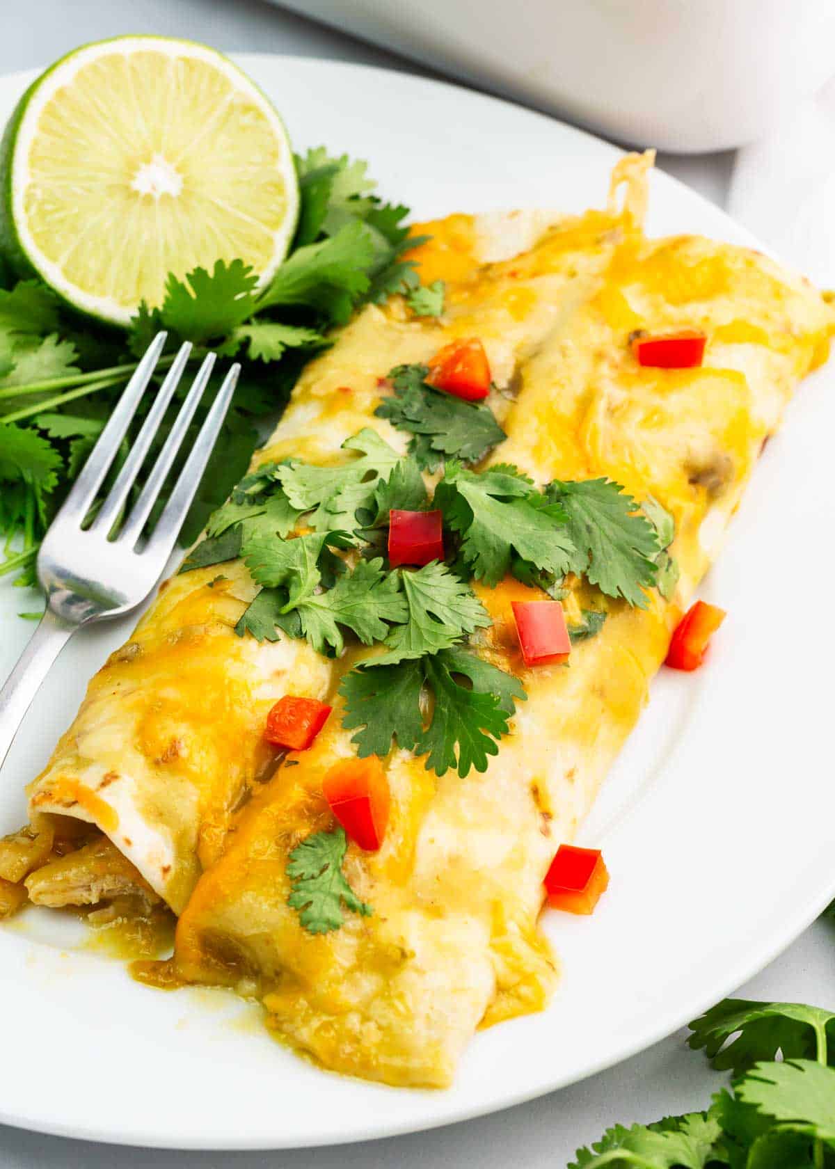 Green chile chicken enchiladas on white plate.