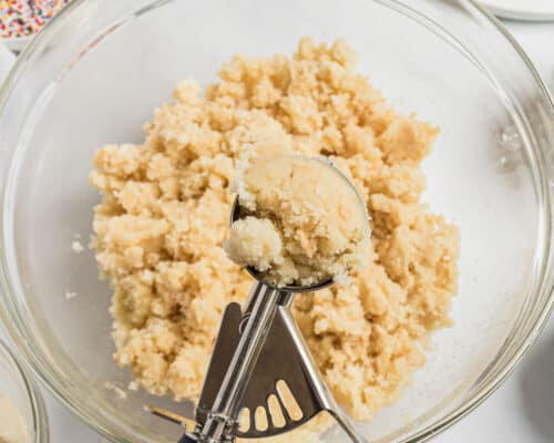 scoop of cake pop dough