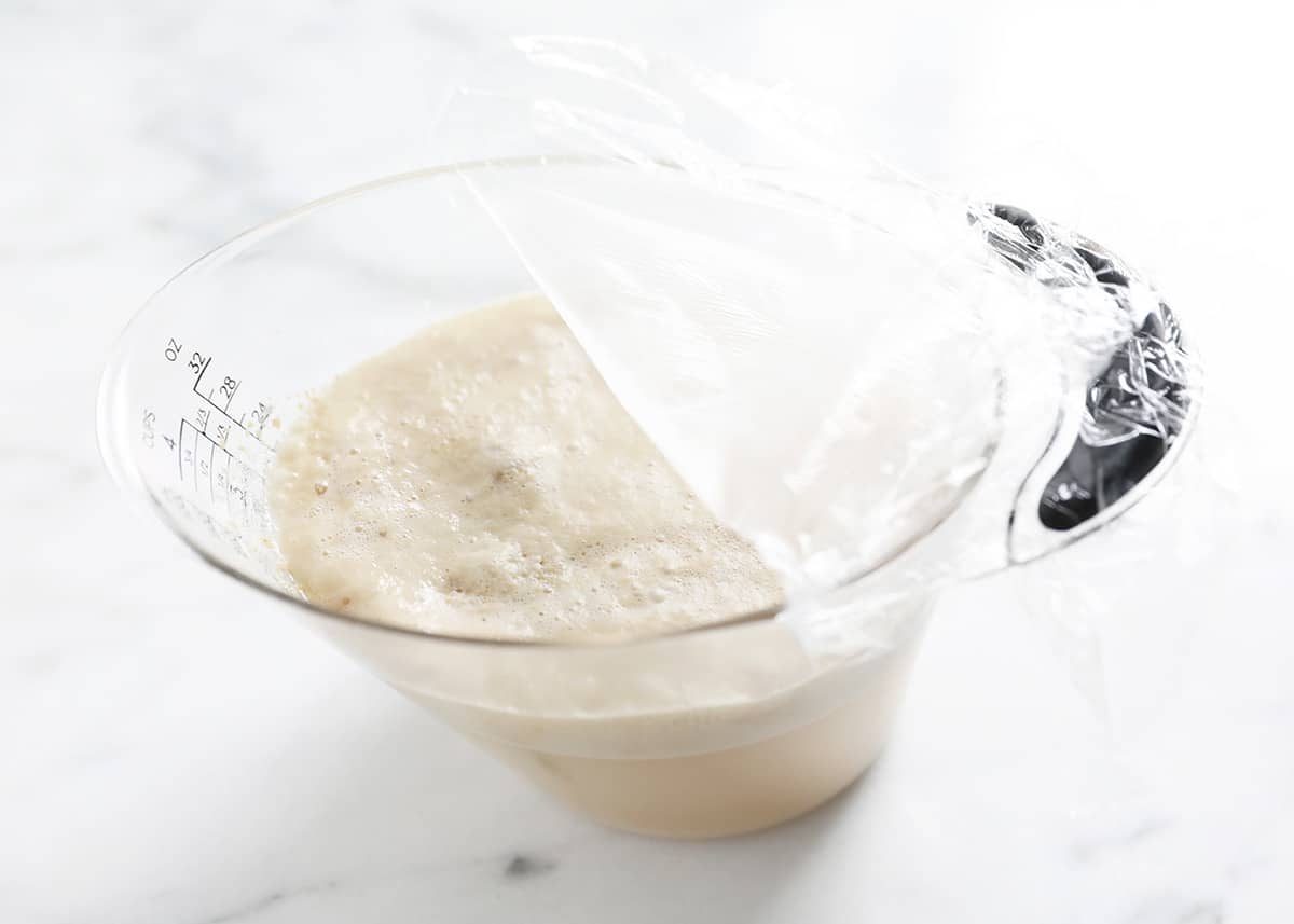 yeast bubbling in measuring cup
