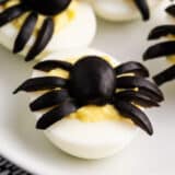 spider deviled egg on white plate