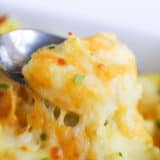 spoonful of cheesy mashed potatoes