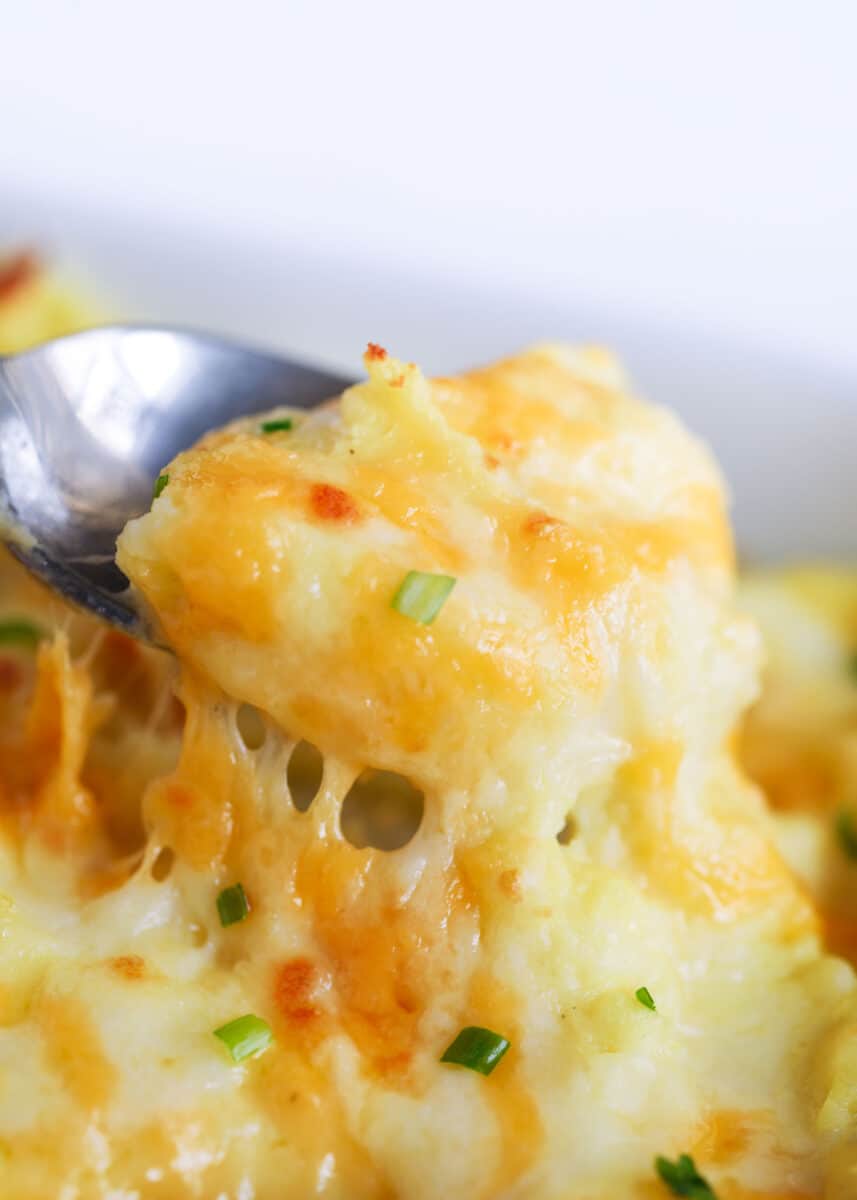 spoonful of cheesy mashed potatoes