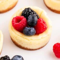 mini cheesecakes with graham cracker crust and fresh berries