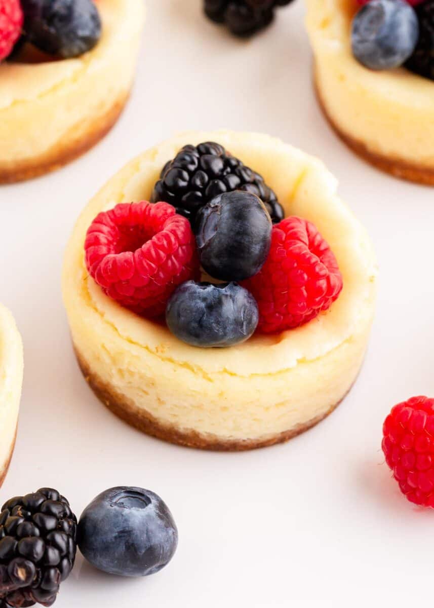 mini cheesecakes with graham cracker crust and fresh berries