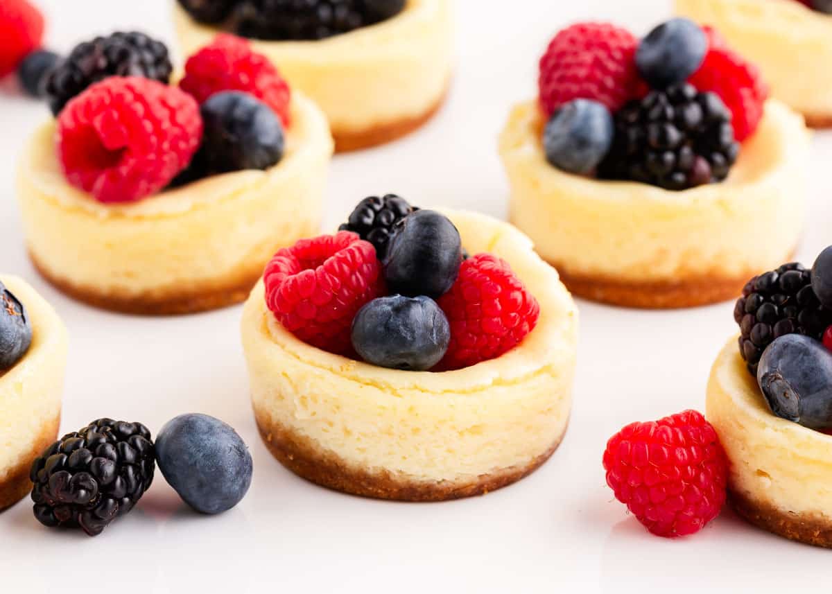 mini cheesecakes with graham cracker crust and fresh berries