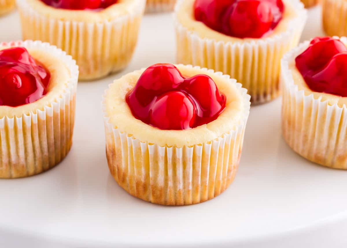 mini cheesecake with vanilla wafers and cherries on top