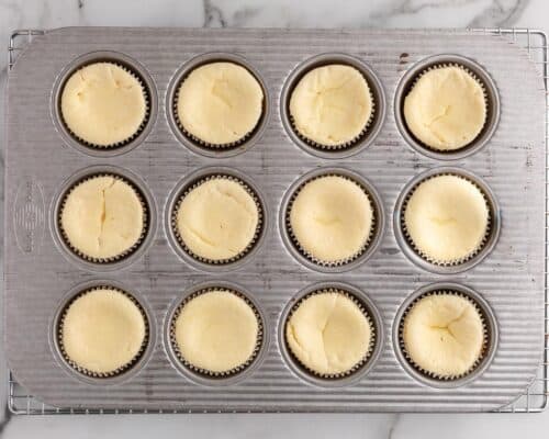 mini cheesecakes in muffin pan