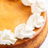 pumpkin cheesecake with whipped cream on top