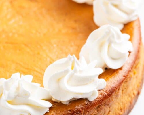 pumpkin cheesecake with whipped cream on top