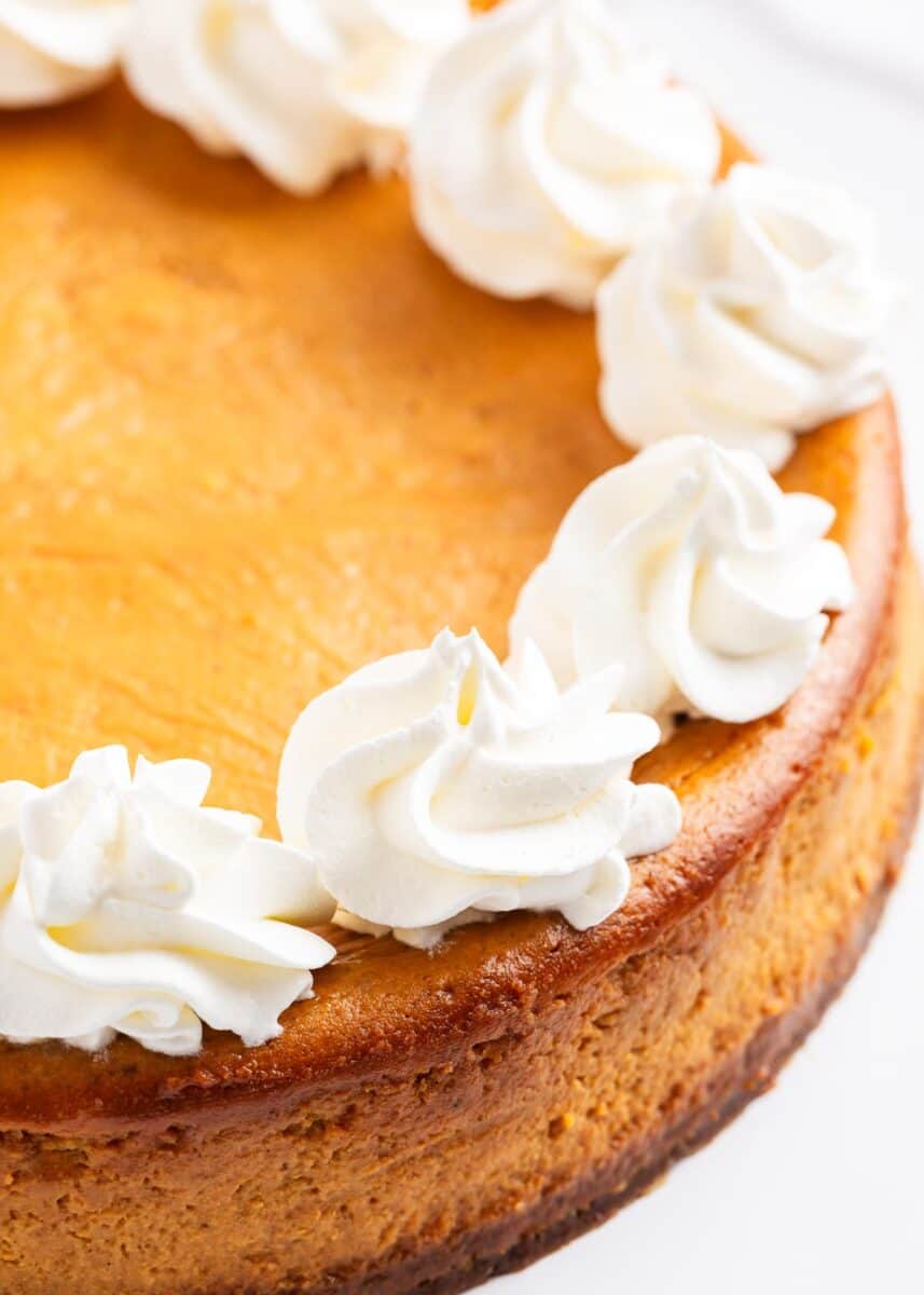 pumpkin cheesecake with whipped cream on top