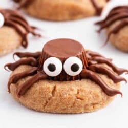 spider cookie on parchment paper