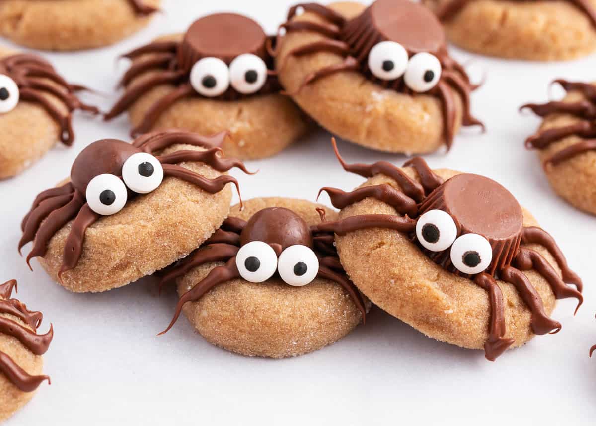spider cookies on counter