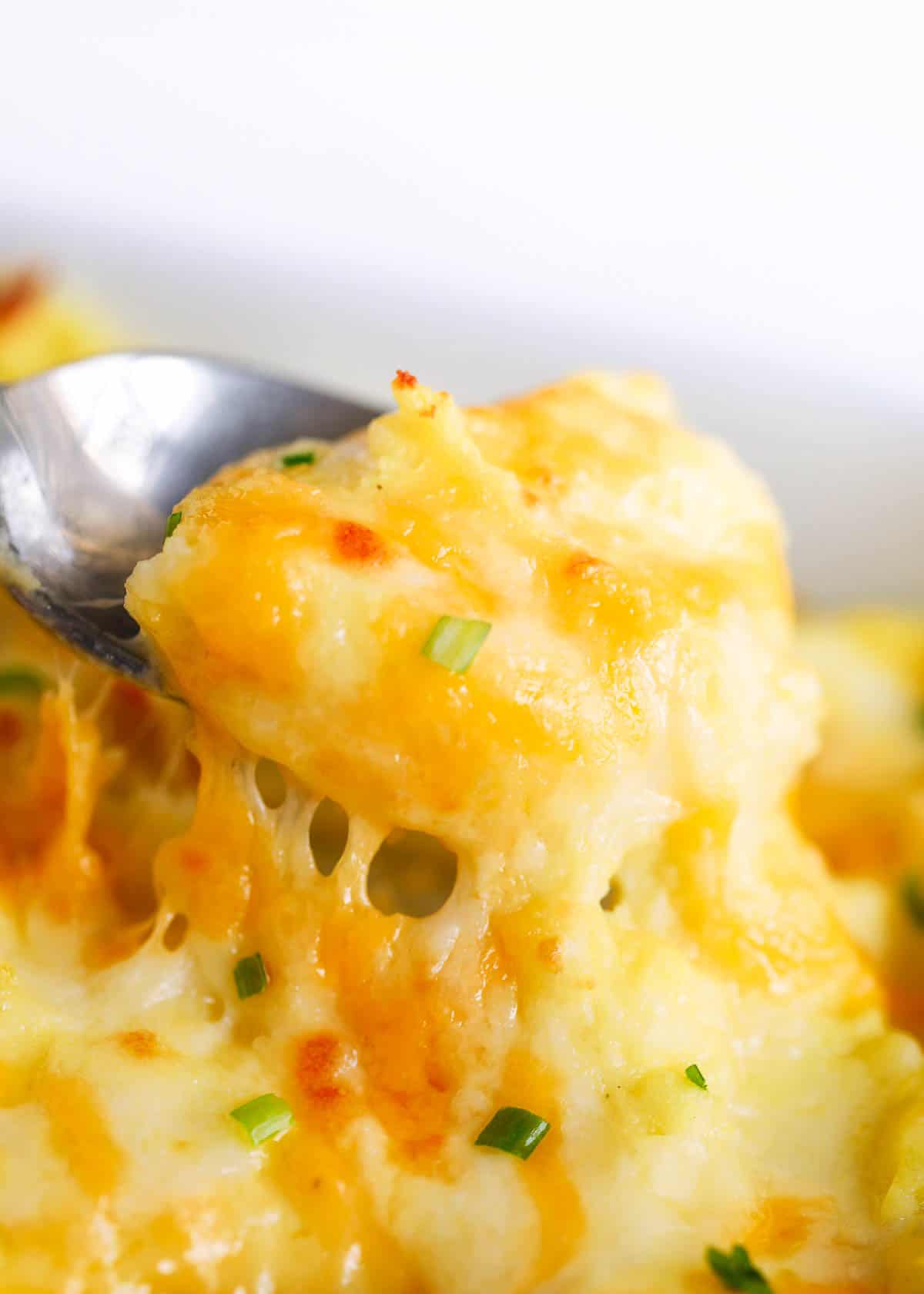 Spoonful of cheesy mashed potatoes.