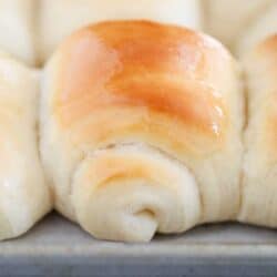 lion house rolls on pan