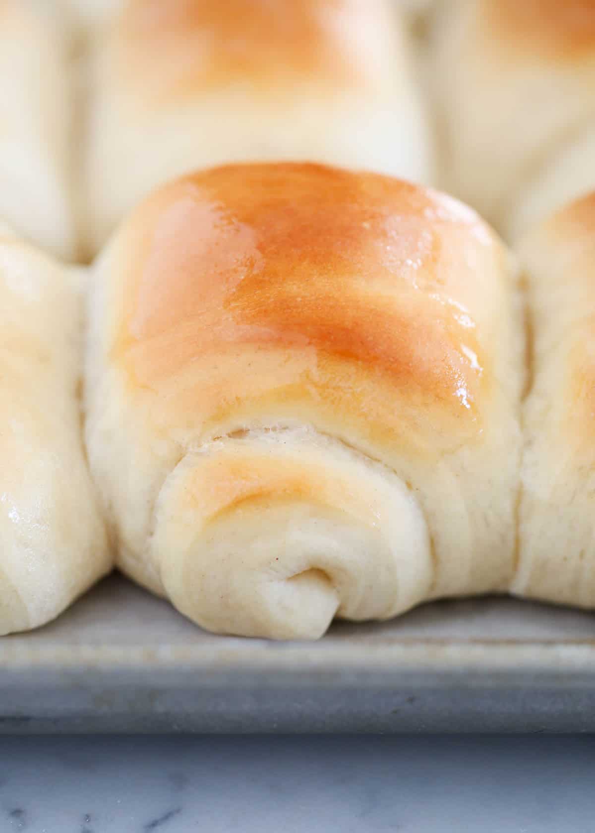 lion house rolls on pan