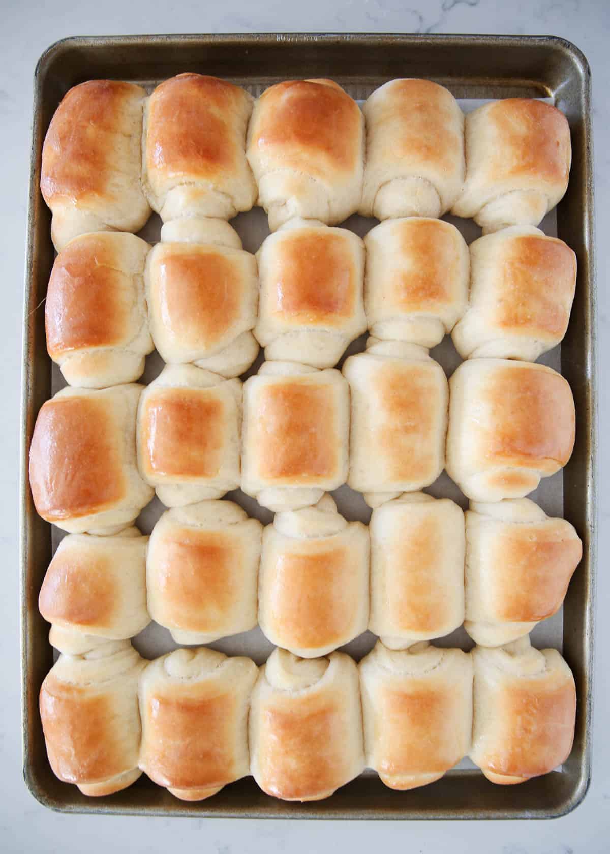 Lion house rolls on a baking sheet.