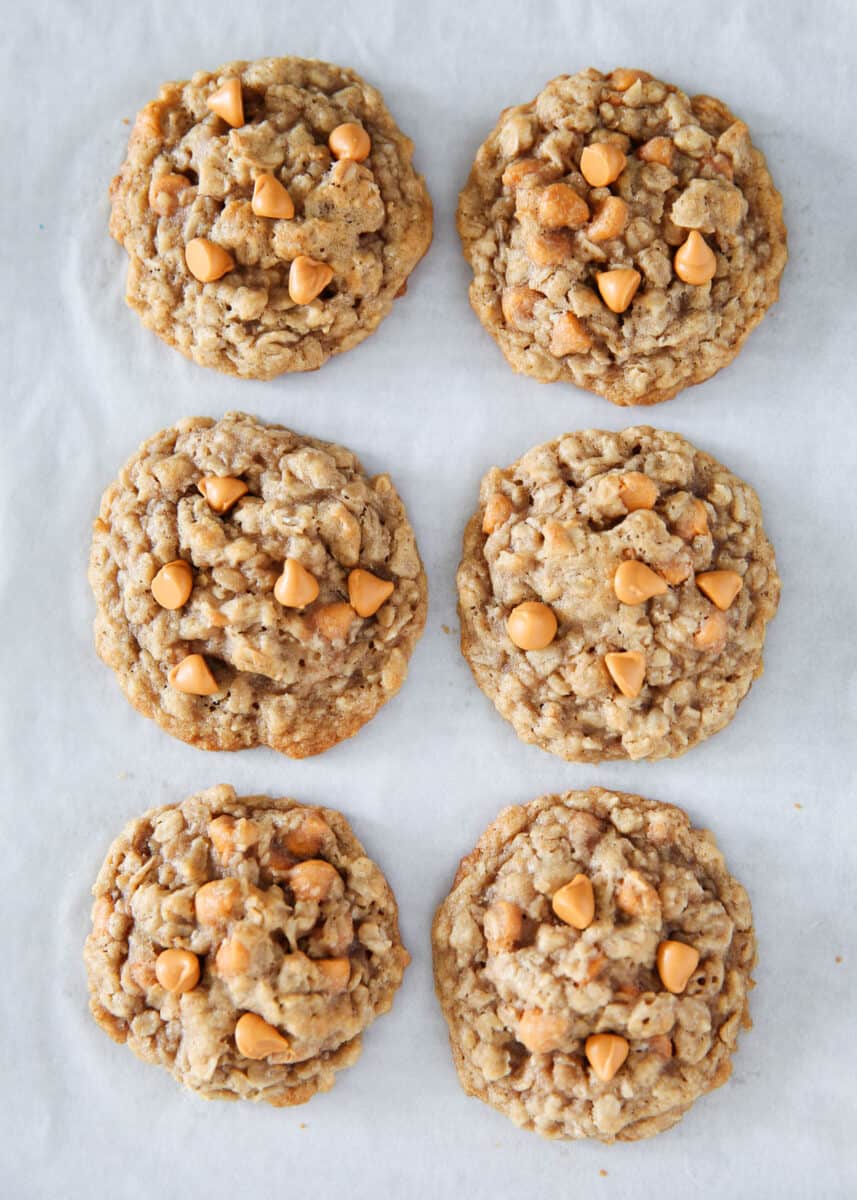 oatmeal butterscotch cookies on pan