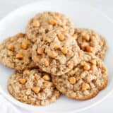 oatmeal butterscotch cookies on white plate