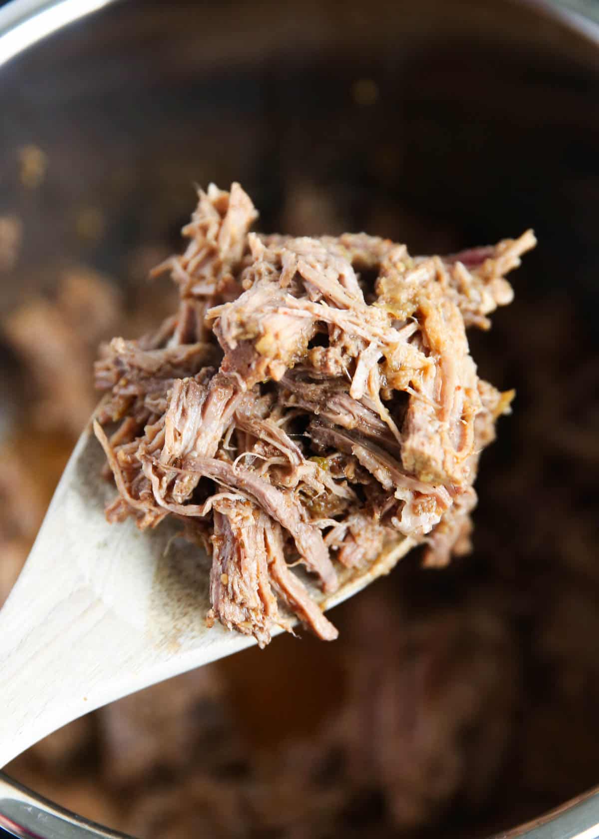 shredded beef on spoon