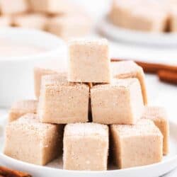 snickerdoodle fudge stacked on white plate