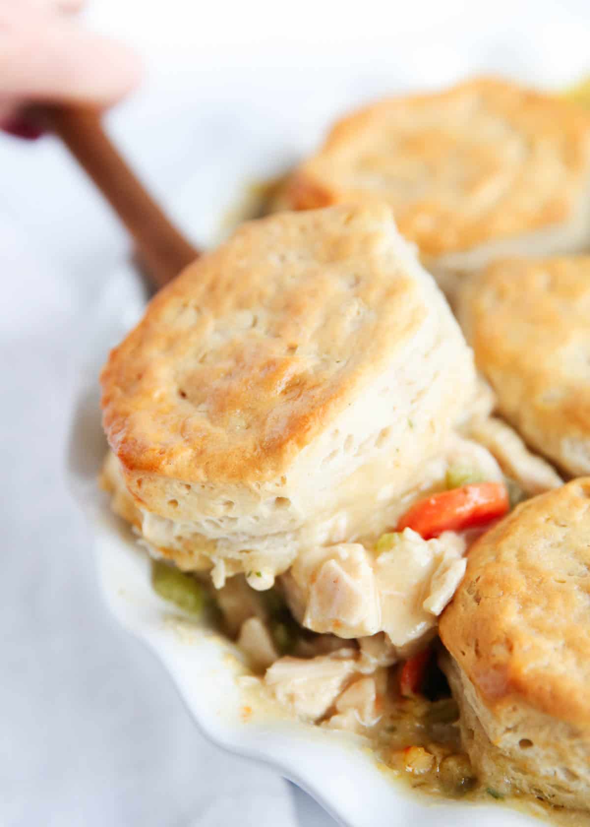 spoonful of biscuits on top of chicken pot pie