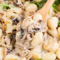 spoonful of mushrooms and gnocchi