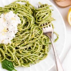 spaghetti pesto with fork on plate