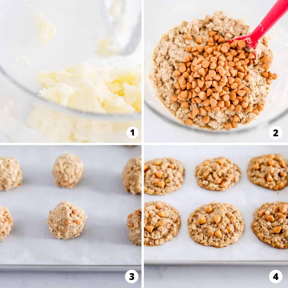 A collage of photos showing how to make oatmeal butterscotch cookies.
