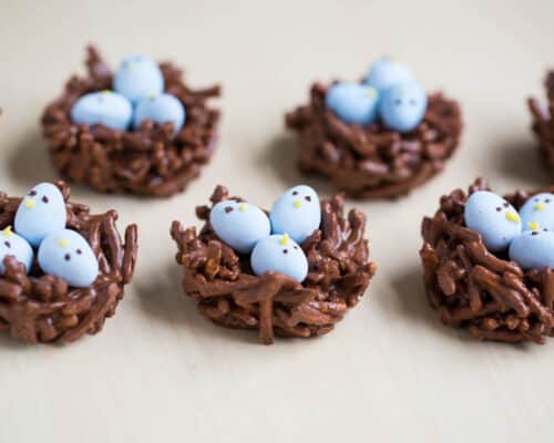 chocolate birds nest