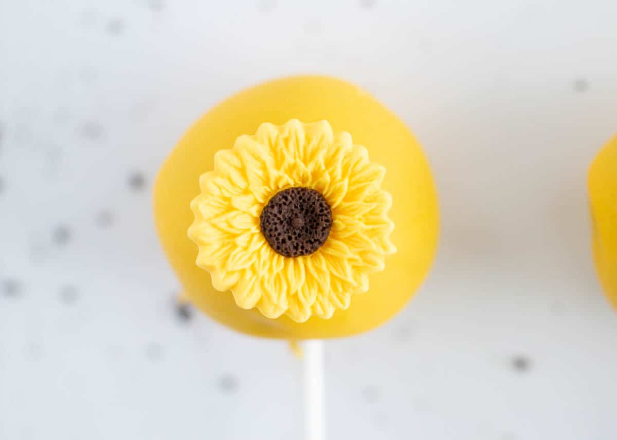 sunflower cake pop on counter