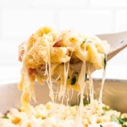 spoonful of chicken cordon bleu pasta