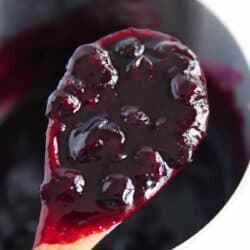 spoonful of blueberry sauce